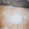 Lactoferrin Powder